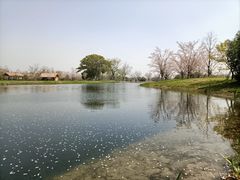 -良渚古城遗址公园