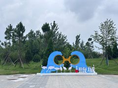 -盐城丹顶鹤湿地生态旅游区