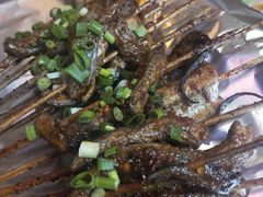 -晓靖轩烧烤(沙河风情店)