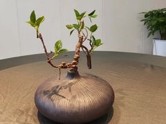 -香山湖渔家大院