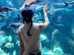 -波塞冬旅游度假区