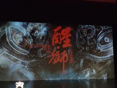 -合肥大剧院