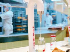 -红星前进面包牛奶公司(君太店)