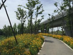 -桤木河湿地公园