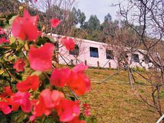 -小南山公园