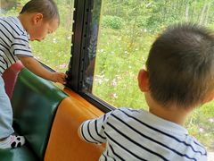 -合肥滨湖国家森林公园