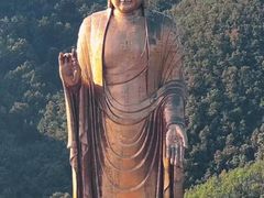 -中原大佛景区
