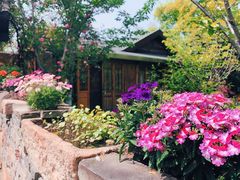 -鹅湖玫瑰文化园