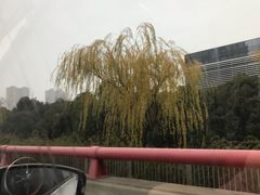 -朱洪元苏式面馆(绿宝广场店)