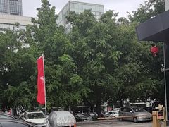 -TESLA 特斯拉(深圳坂田特斯拉中心)
