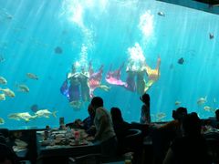 -瑞德姆美人鱼海底演艺主题餐厅(亚龙湾店)