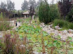 -中家鑫园温泉酒店鑫悦汤泉