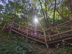 -大岭沟猕猴桃谷风景区