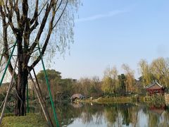 -北湖公园
