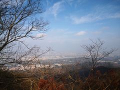 -紫金山山顶公园