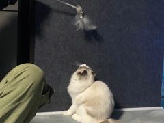 -零纪元VR体验馆·桌游(黄浦店)