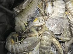 -霞涌市场海鲜摆卖区