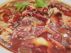 -朝郡酒家·粤菜(燕大星苑店)