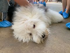 -TrueLove @ Neverland (Husky Cafe)