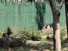 -沈阳森林动物园