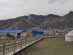 -中华福寿山