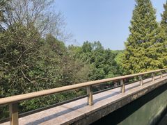 -浙江医院(灵隐院区)