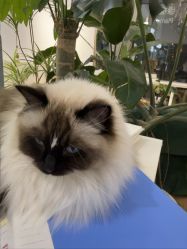 点击看大图 -Sugar苏格婚礼策划工作室