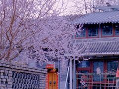 -三里河公园
