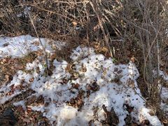 -秦岭终南山世界地质公园翠华山景区