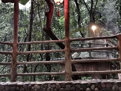 -天门沟九州驿站树上汤泉