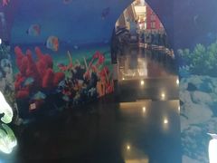 -成都浩海立方海洋公园