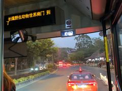 -广州长隆国际大马戏