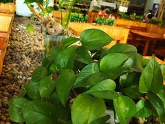 -大草原清真饭庄(沙河店)