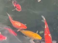 -濮园 · 四合院餐厅