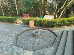 -上海佘山国家森林公园天马山园