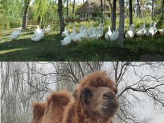 -长白岛森林公园