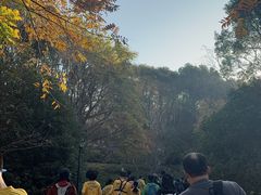 -南山风景名胜区