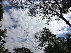 -广州市白云山风景名胜区