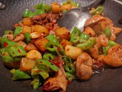 -聚鑫朋酸菜肥肠(文艺路口店)