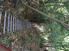牛鱼嘴原始生态风景区-牛鱼嘴原始生态风景区
