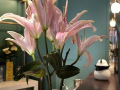 -南堂馆·新川菜(春熙路店)