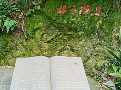 -十八棵（老龙井）御茶园(老龙井店)