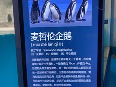 -蓬莱欧乐堡海洋极地世界