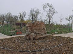 -天津东丽湖风景区