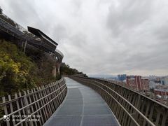 -福道