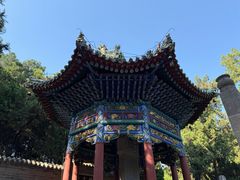 -关林