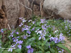 -峄山风景名胜区