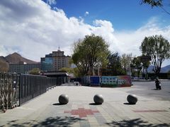 -西藏自治区图书馆