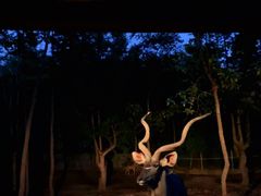 -清迈夜间动物园