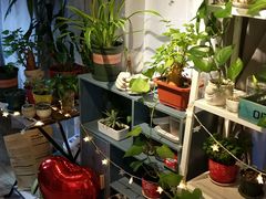 -吃饼人西餐(南开店)